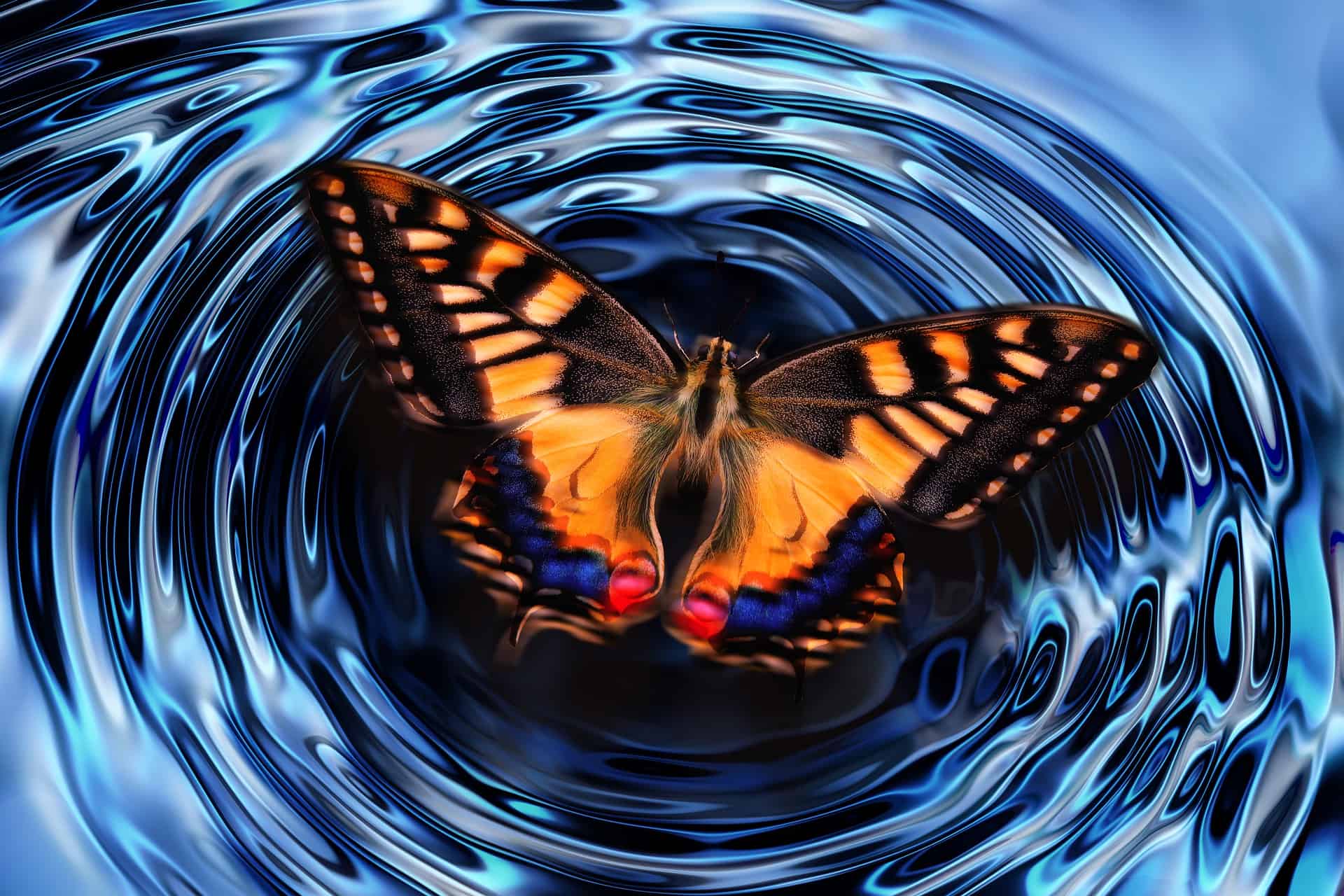 Sommerfugl Pixabay