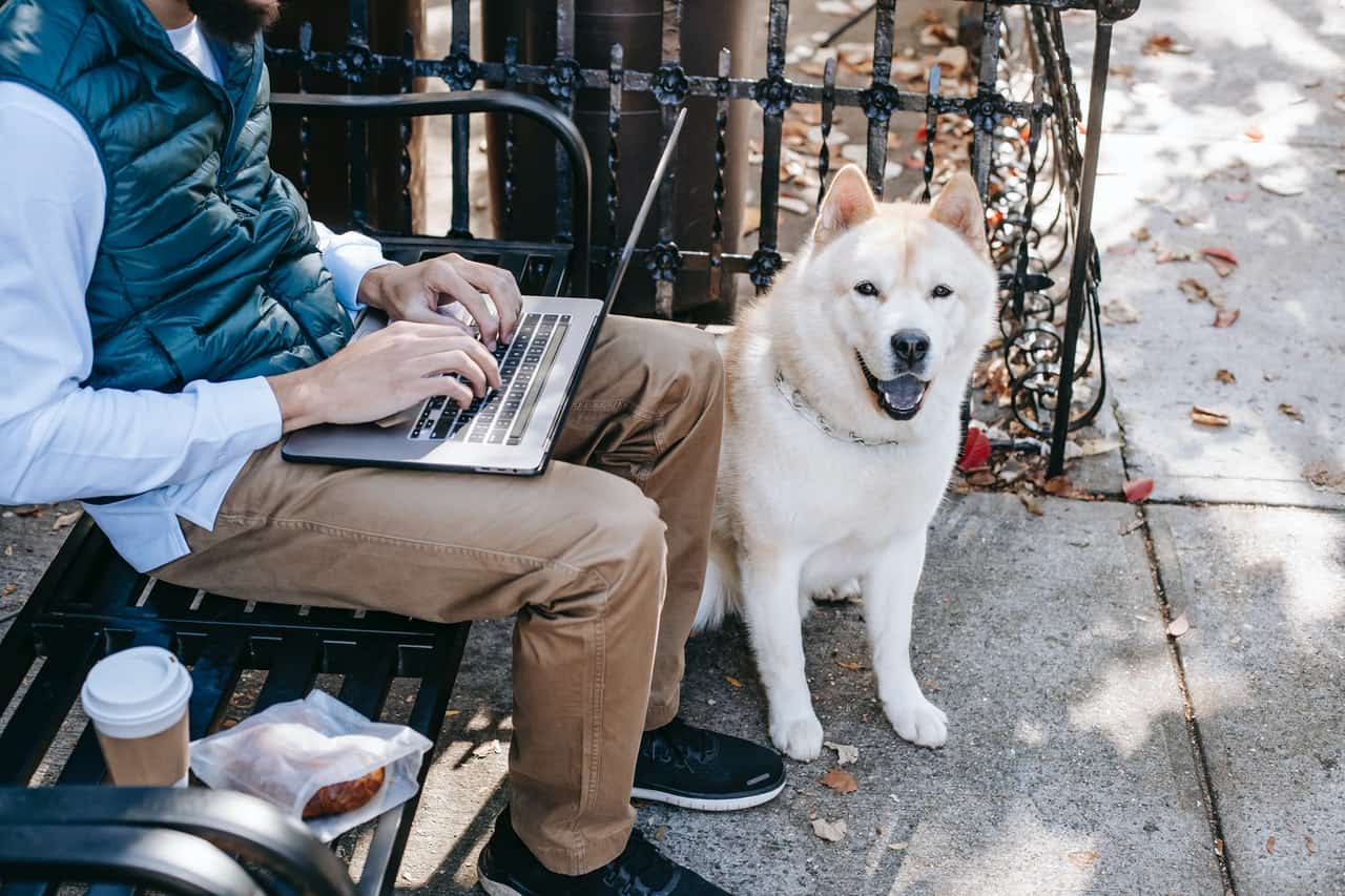 Person utendørs som sitter på en benk med laptop og en hund ved siden av seg