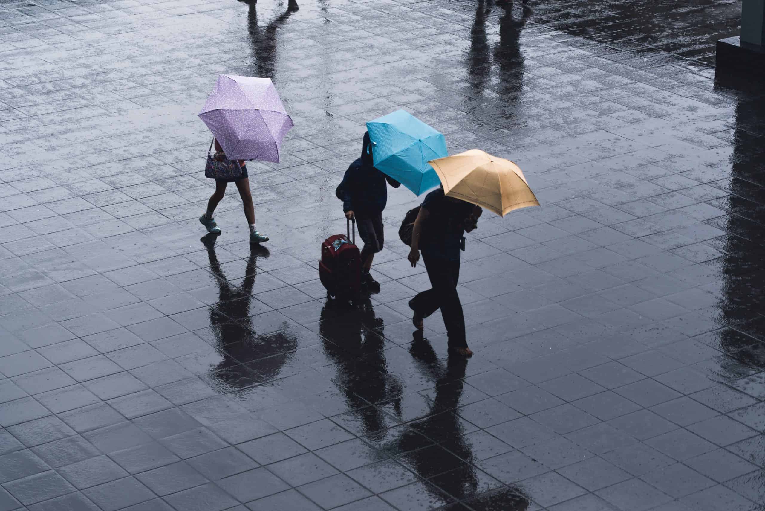 ryoji-iwata-IeV07y5UK3k-unsplash ryoji-iwata-IeV07y5UK3k-unsplash